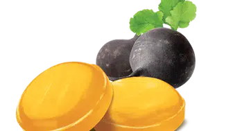 Balparmak’ın iyi yaşam markası Apitera’ya bir ödül daha!