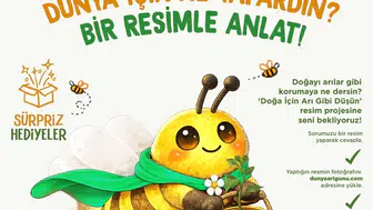 Balparmak'tan Dünya Arı Günü İçin Yeni Bir Farkındalık Projesi Hayata Geçti!