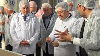 Tarım ve Orman Bakanı İbrahim Yumaklı, Köklü Zeytincilik Fabrikası'nı Gezdi