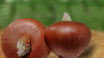 Sofralarımıza Ulaşması 3 Yıl Süren Yerli Ürünler: Türkiye Genelinde Dağıtım Başladı!