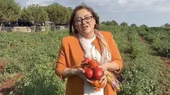Fatma Şahin'den Müjdeli Haber: Gaziantep'te Ata Tohumu Projesi İçin Adımlar Atıldı!