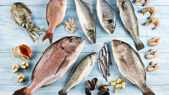 Su Ürünleri Sektörü, Future Fish Eurasia'da Bir Araya Geliyor!
