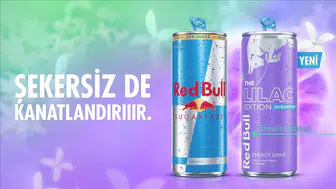 Red Bull, Şekersiz Lilac Editon ile Pomelo Aromasını Tanıtarak Pazar Liderliğine Adım Atıyor!