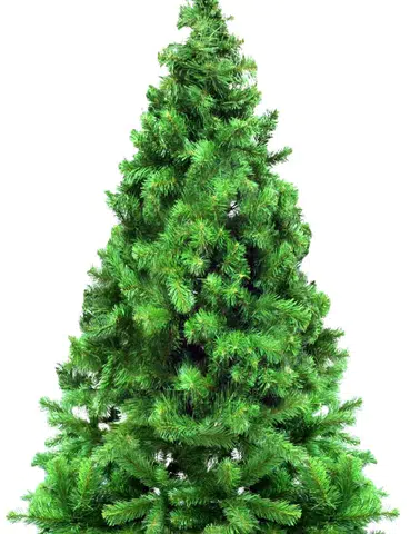 Yeni Yıl Coşkusu Haneye Yansıyor!