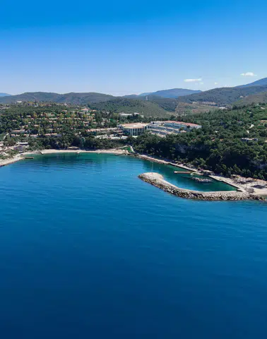 Pine Bay, TURQUALITY® Programı'na Katılarak Global Markalaşma Yolunda Bir Adım Attı!