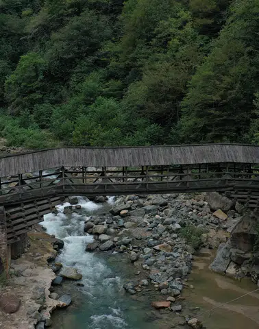 Rize'nin Turizmde Parlayan Yıldızı: Senoz Vadisi’nin Büyüleyici Güzellikleri