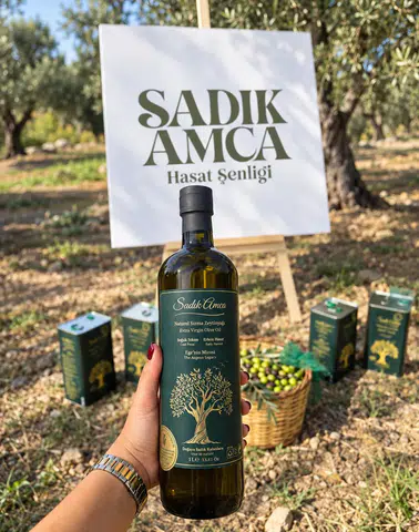 Sadık Amca Zeytinyağları'nda Erken Hasat Sezonu Coşkuyla Başladı!