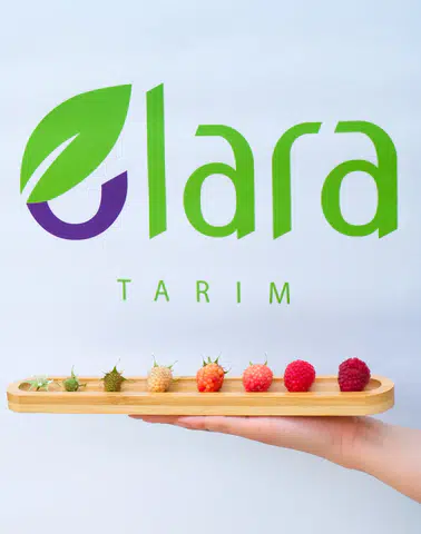 Elara Tarım'dan Sel Felaketlerine Karşı Dayanıklı Sera Çözümü!