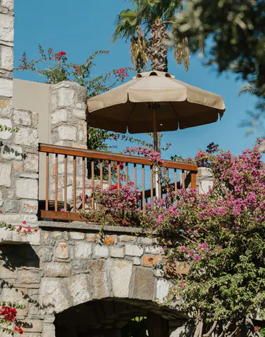 Divan Grubu: 70 Yıllık Eşsiz Mirası ile Gelecek Vizyonu Belirliyor