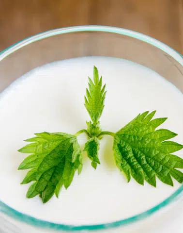 Süt Ürünleri: Susuzluğu Gidermede Etkili Bir Alternatif!