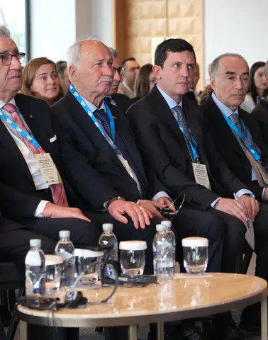 Zeytinyağı Sektöründen Rekolte Çalışmaları İçin AB'den Kota Talebi!