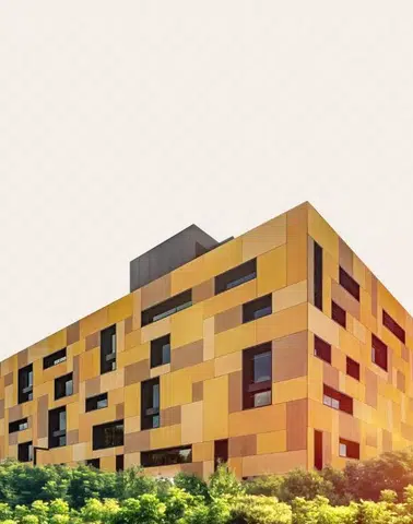 Balparmak, Türk Balını Global Pazara Taşıyarak İhracatta Zirveye Yerleşti