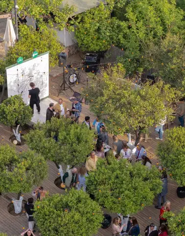 Bodrum Mandalina'da Sanatla Şekillenen Anlamlı Buluşma: Pernod Ricard Türkiye'den Özel Bir Adım!