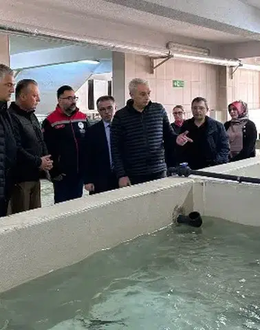 Türkiye Su Ürünleri Üretiminde Rekor Kırdı, İhracat Gelirleri Artıyor