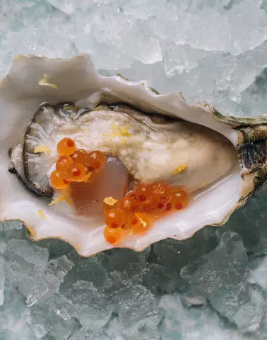 Nemo Restoran, Tersane İstanbul'da Akvaryum ile Deniz Altı Deneyimi Sunmaya Başlıyor