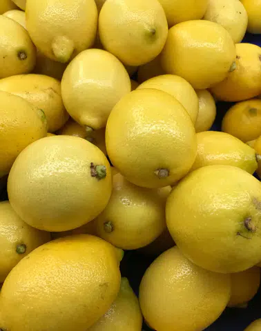 Limon İhracatı Miktarı Azaldı, Döviz Gelirleri Yükseldi!