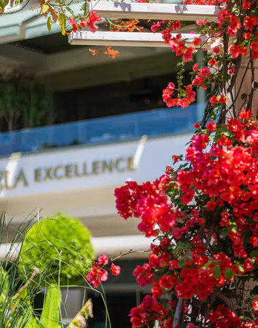 Ela Excellence Resort'ta Aileyle Birlikte Eşsiz Bir Yaz Tatilinin Tadını Çıkarın!