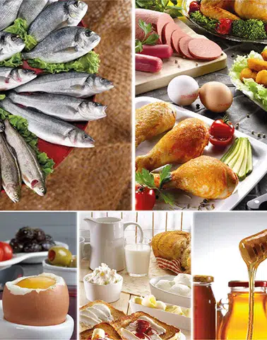 Dünya Genelinde Protein İhtiyacını Karşılayan İhracatçıların Yıllık Geliri 2 Milyar Doları Geçti!
