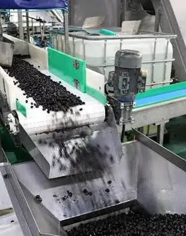 Marmarabirlik, İhracat Stratejisini Orta Doğu Pazarına Yönlendirdi