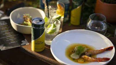 The ORGANICS by Red Bull Yeni Lezzeti ORGANICS Easy Lemon’ı Tanıttı 