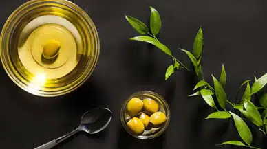 Edremit zeytinyağı Avrupa Birliği tarafından tescillendi!