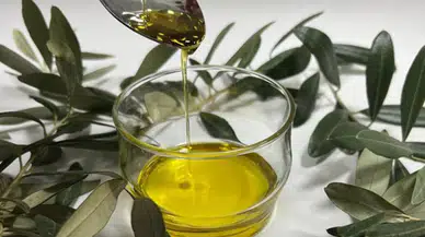 Edremit zeytinyağı Avrupa Birliği’nde tescillendi