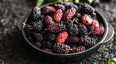 Karadutun yararları nelerdir? Karadutlu sorbe tarifi…