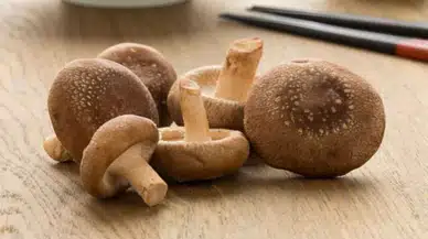 Shiitake mantarı nedir, nasıl pişirilir? Dikkat edilmesi gerekenler...