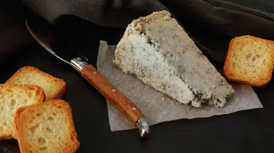 Dünyanın en pahalı peyniri ilan edildi: Yeni sahibi tam 863 bin TL ödedi