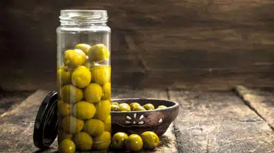 Konutta zeytin nasıl yapılır? En kolay metotlarla zeytin kurma!