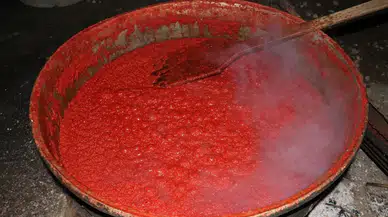 Şimdi salça zamanı
