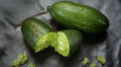Finger lime (havyar limonu) nedir? Nasıl kullanılır?