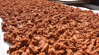 Soğuk kış aylarının vazgeçilmezi: Yelten tarhanası