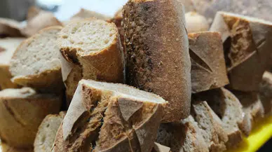 Geleceğin Fırıncılık Teknolojileri: Bakery Plus 2025 ile Devrim Niteliğinde Tanıtım!