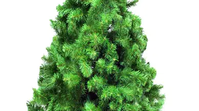 Yeni Yıl Coşkusu Haneye Yansıyor!