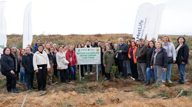 MetLife Türkiye, Ağaçlandırma Projesi ile Geleceği Yeşil Bir Temele Taşıyor!