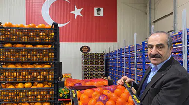 Mandalina İhracatında Hedef 1 Milyar Dolar: Yeni Dönem Başlıyor!