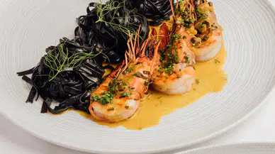 Yılbaşı Coşkusu: mykOrini, 2026’ya Yunan Adaları Esintileriyle Karşılıyor