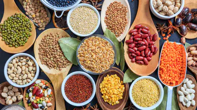 Foodist İstanbul, Küresel Gıda Fuarları Arasında İlk Üçte Yer Alacak!