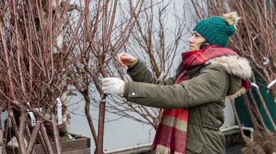Bahçe Marketlerde Taze Dalından Meyve Coşkusu!