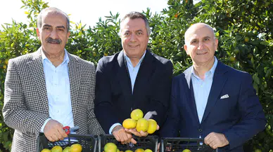 Satsuma Mandalinasında İhracat Sezonu Başladı!