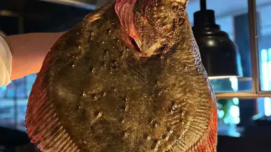 Şubat Ayına Özel Lezzet: Okra'nın Gözdesi Kalkan Balığı!