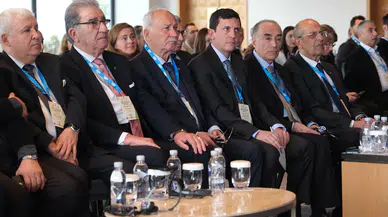 Zeytinyağı Sektöründen Rekolte Çalışmaları İçin AB'den Kota Talebi!