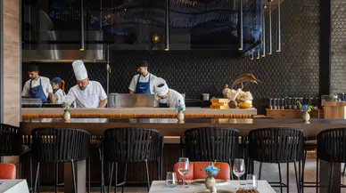 Bodrum Gündoğan'da Denizden Restoran Açıldı: MasterChef Mehmet Yalçınkaya İmzasıyla Yeni Lezzet Durakları Duyuruldu!