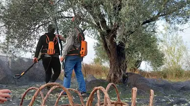 Zeytin Üreticilerinin Sesine Kulak Verin:Yüksek Maliyetler Tarımda Zorluklara Yol Açıyor