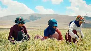 Migros'un Yenilikçi Tarım Projesi Küresel Ölçekte Takdir Topladı!