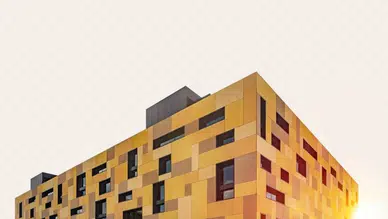 Balparmak, Türk Balını Global Pazara Taşıyarak İhracatta Zirveye Yerleşti