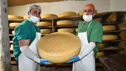 Gravyer Peynirinin Doğal Yolları: Yaylalardan Sofralara Uzanan Eşsiz Yolculuk