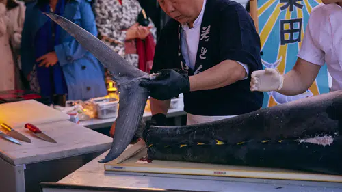 Sankai Tuna Madness, Boğaz'da Unutulmaz Bir Festivale İmza Attı!