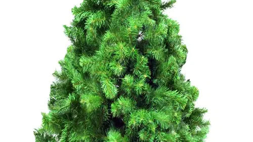 Yeni Yıl Coşkusu Haneye Yansıyor!